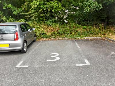 Picture 21